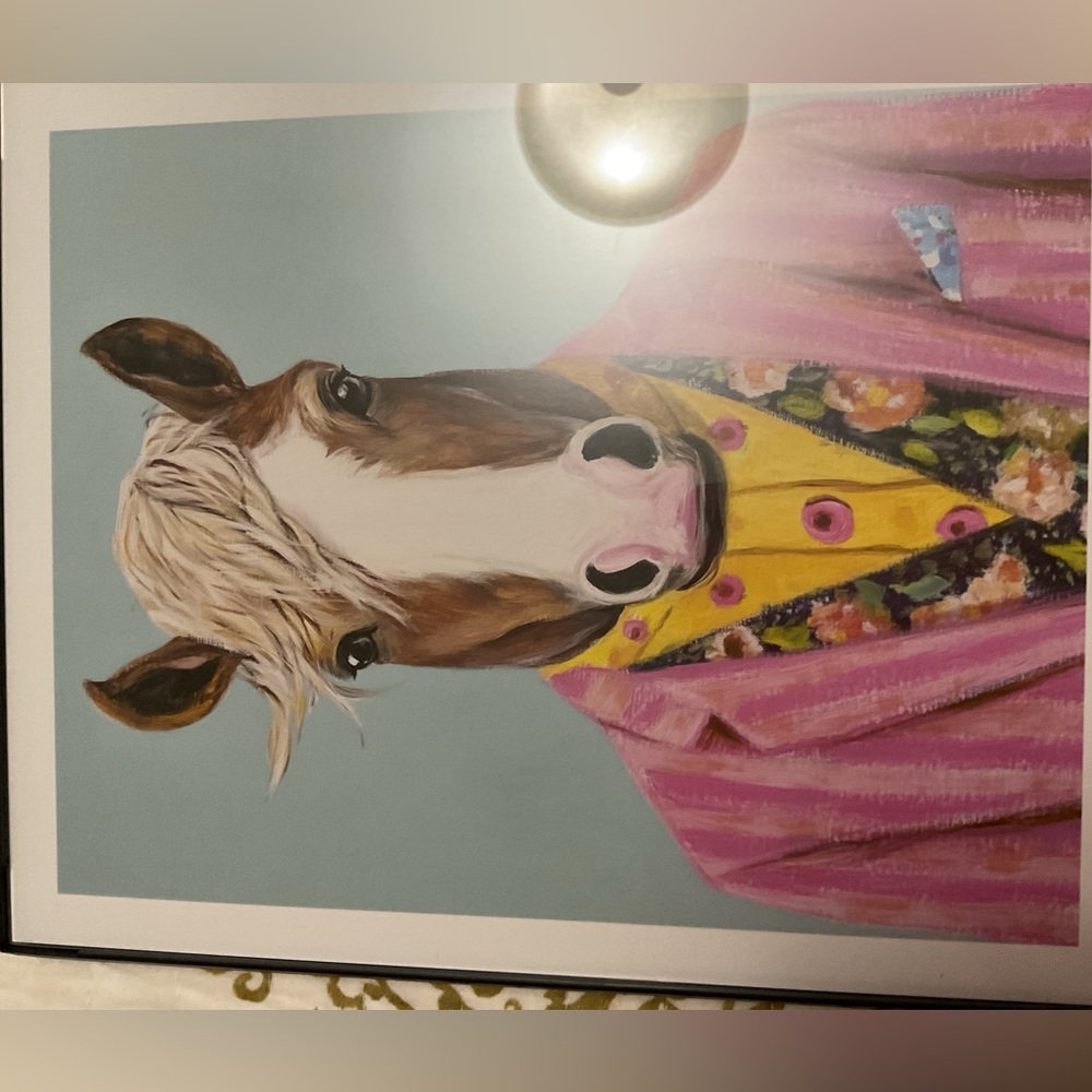 Colorful Framed Animal Prints